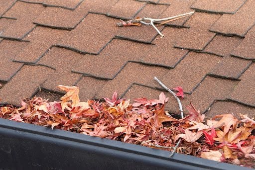 A close-up shot of a gutter filled with colorful fall leaves
