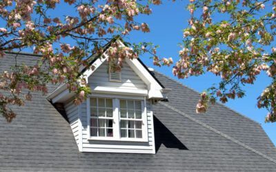 Spring Into Action: Roof Maintenance Tips for Easter and Spring Cleaning