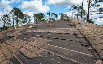 Hurricane-Proofing Your Roof: What Florida Homeowners Need to Know
