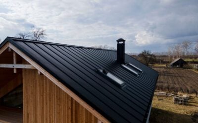 Boost Your Home’s Curb Appeal: Top Roof Makeover Trends in Tampa 2025